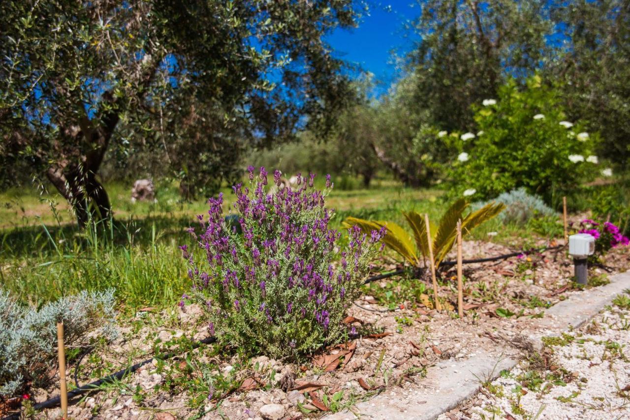 Agriturismo Biologico Piccapane Bed and Breakfast Cutrofiano Exterior foto